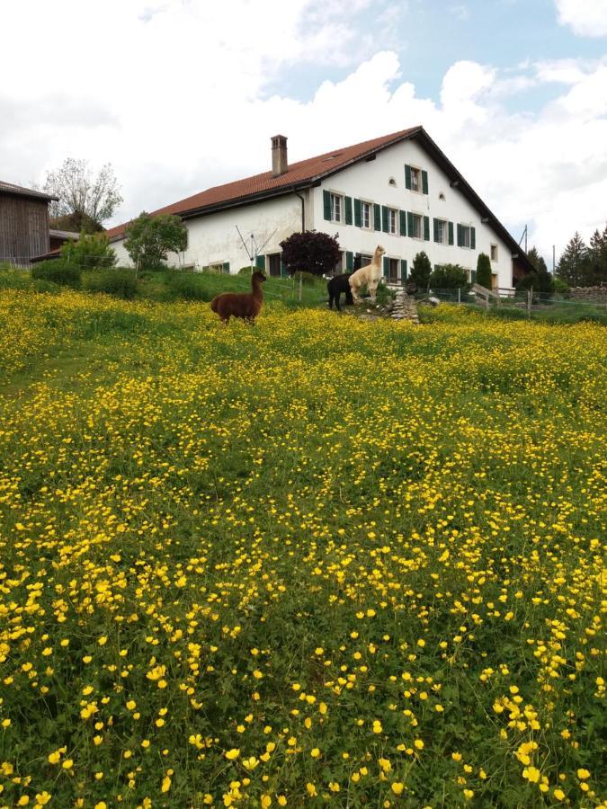 Апартаменти Ferme O'Cles Le Peuchapatte Екстер'єр фото